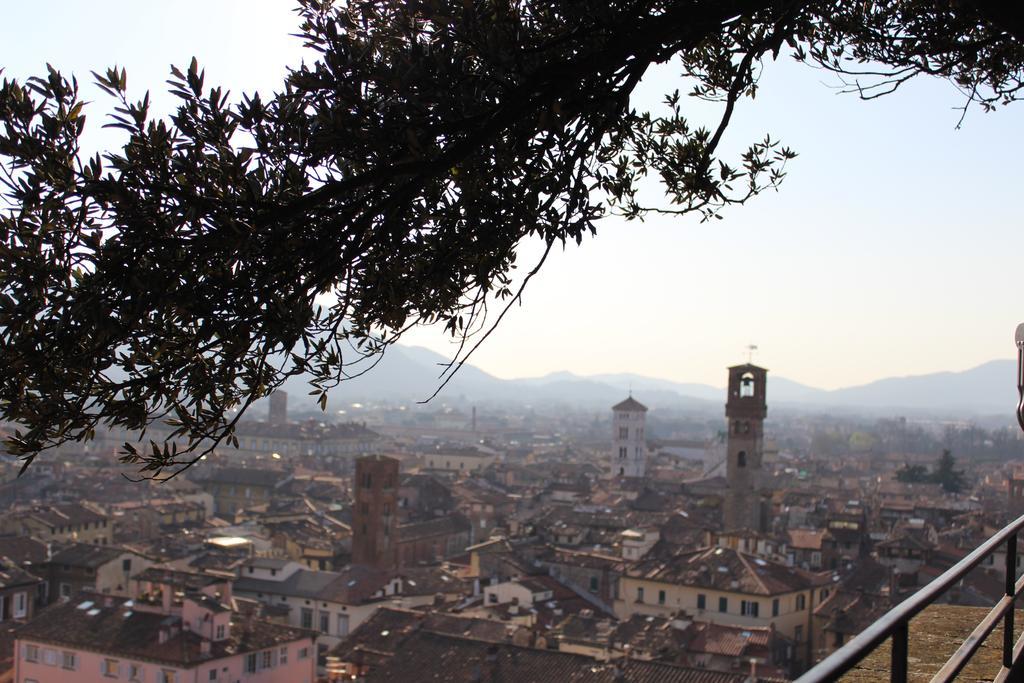 شقة La Terrazza Da Ernestina لوكا المظهر الخارجي الصورة