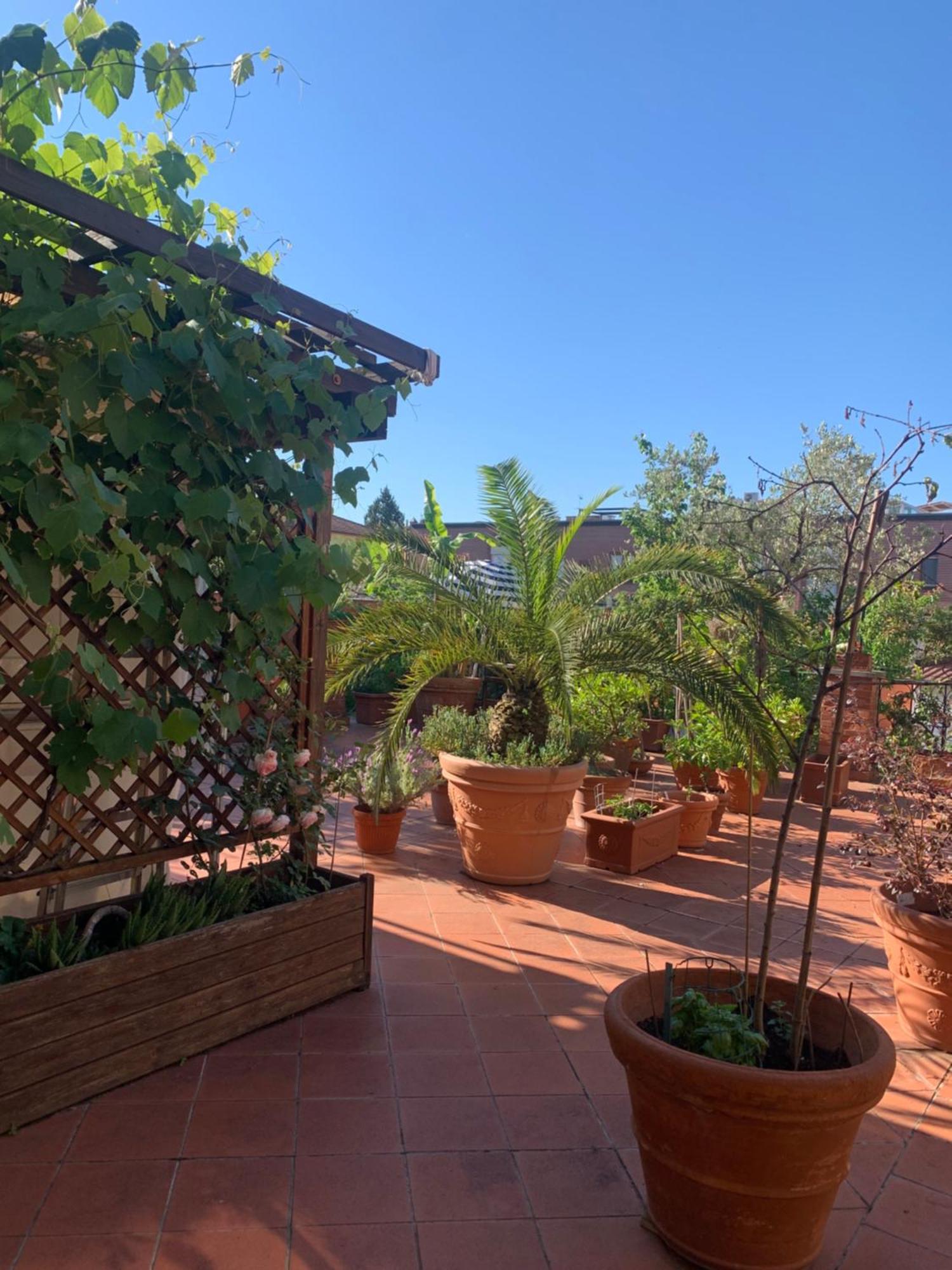 شقة La Terrazza Da Ernestina لوكا المظهر الخارجي الصورة